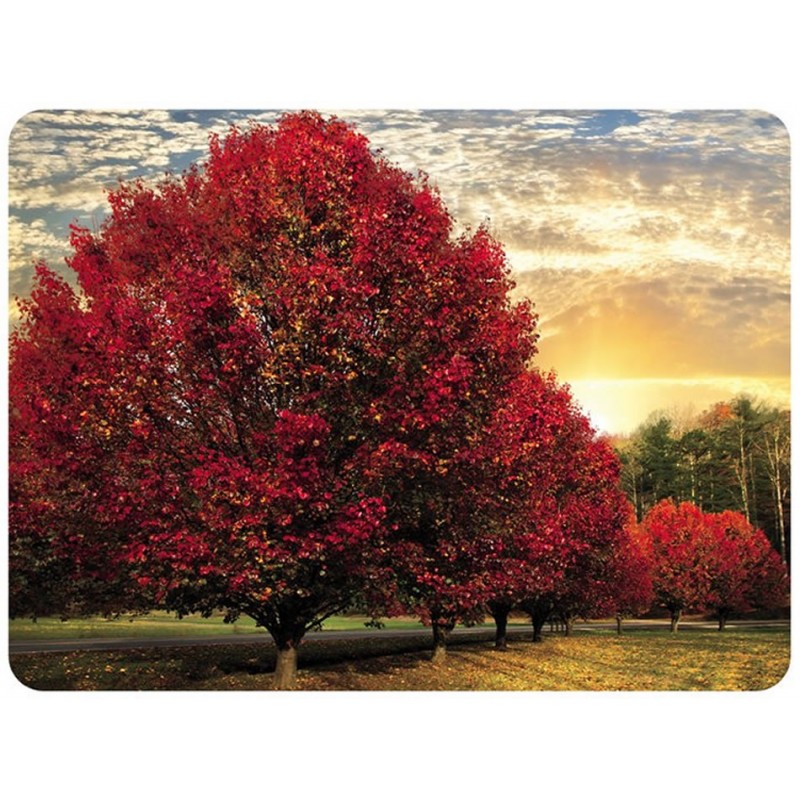 Pimpernel Placemats Crimson Trees red tree design and stunning sunset