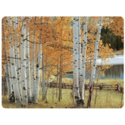 Pimpernel Placemats Birch Beauty autumn tree images yellow and gold