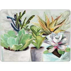 Pimpernel placemats Succulents water color design with green cacti and flowers